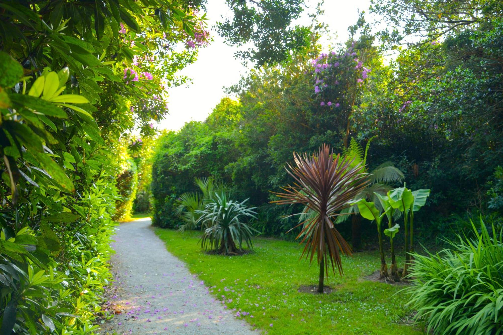 Parknasilla Resort & Spa Sneem Εξωτερικό φωτογραφία